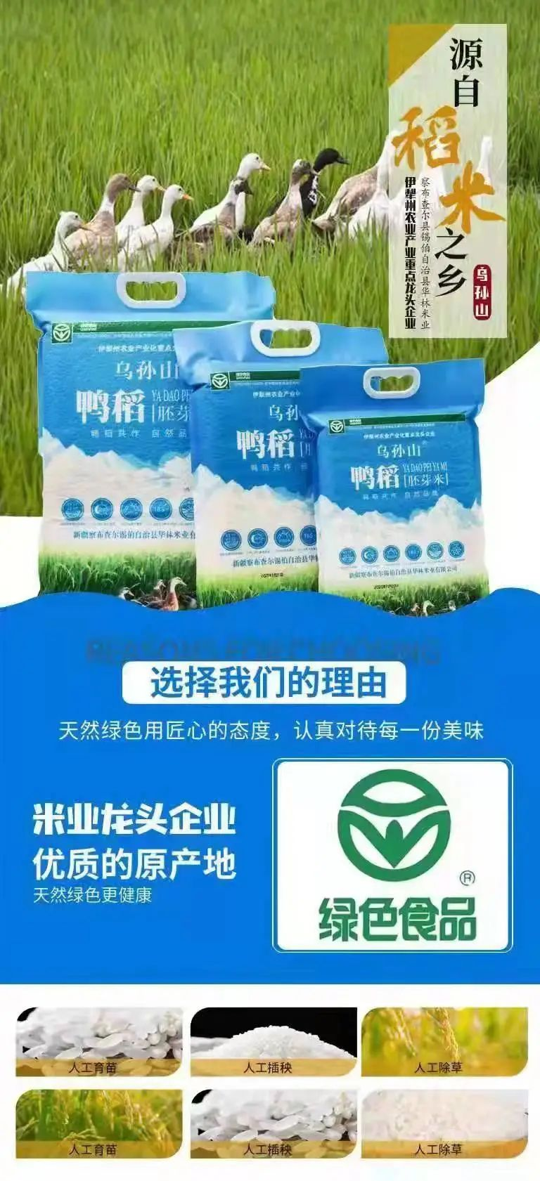 集團工會“千里選福利”