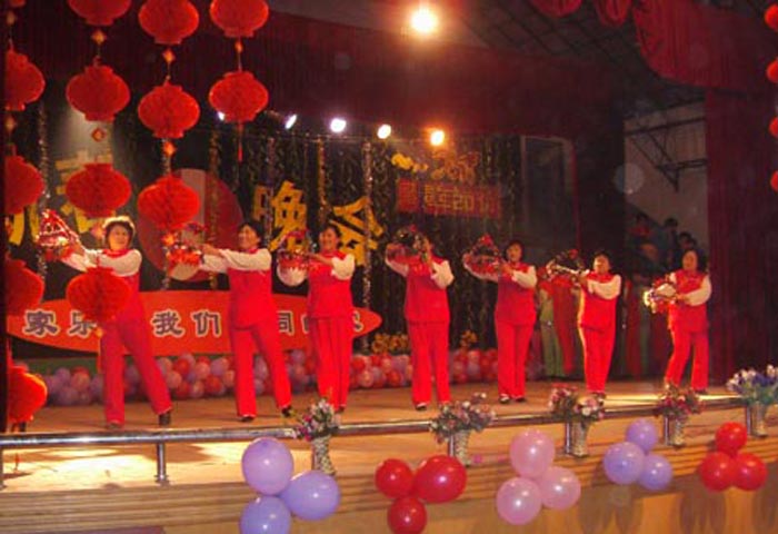 內丘大賣場2009年度表彰大會暨2010年新春聯歡晚會成功舉辦