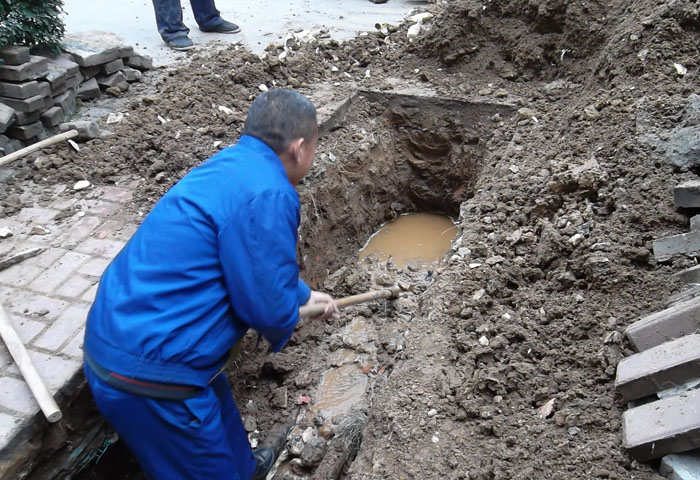 一路走來——記家樂園物業公司的變化